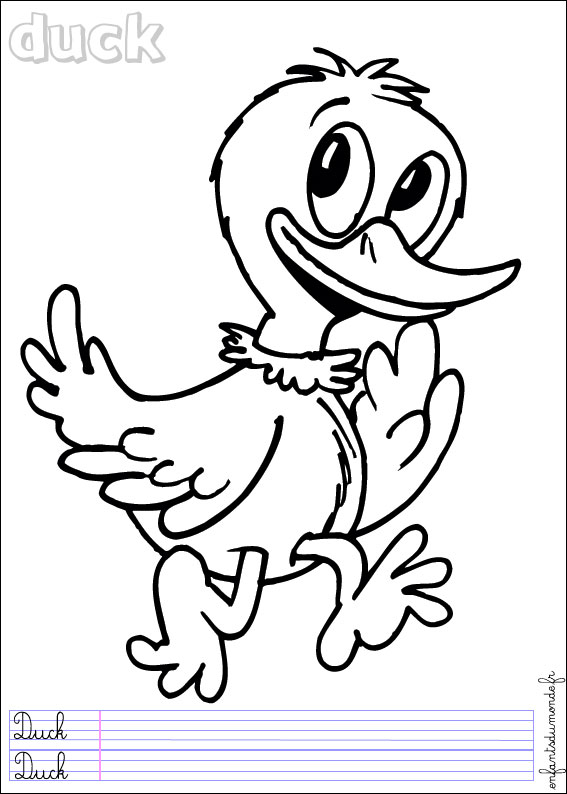 coloriage canard 3